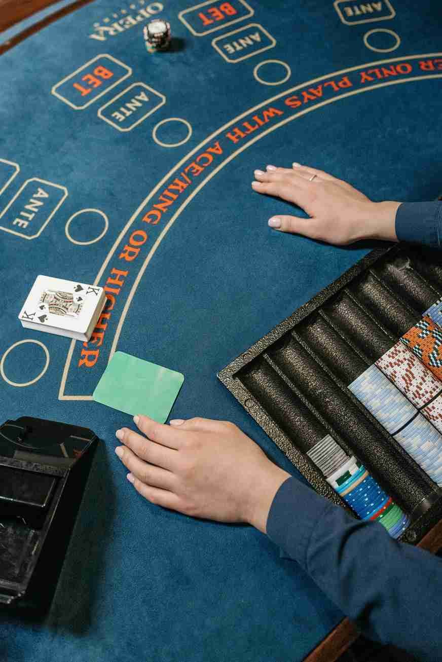 Cat casino 2026